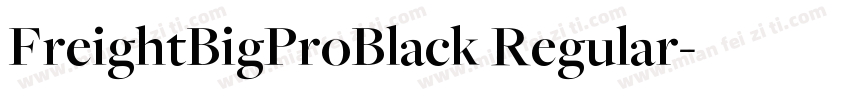 FreightBigProBlack Regular字体转换